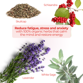 Four herbs—Schisandra, Skullcap, Lavender, and White Sage—surround text highlighting stress relief and energy restoration with organic herbs.