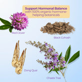 Botanical ingredients including red clover, dong quai, black cohosh, and chaste tree labeled for supporting hormonal balance naturally.
